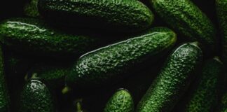 Добриво для огірків на основі сметани