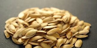 Як правильно збирати та зберігати насіння гарбуза 