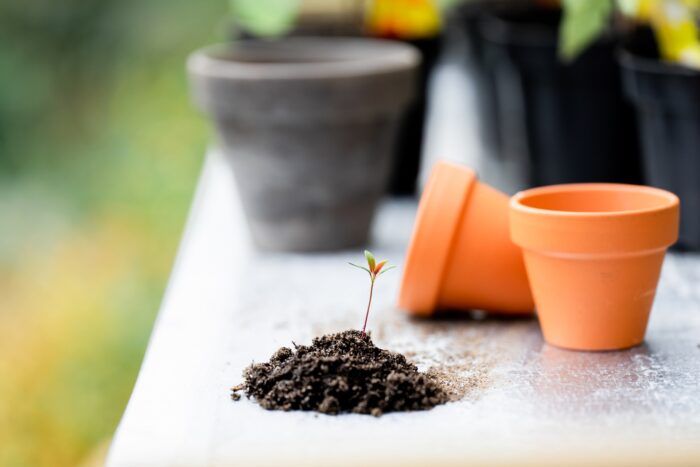Експерти розповіли про основні весняні справи на городі, які вже час починати робити – поради