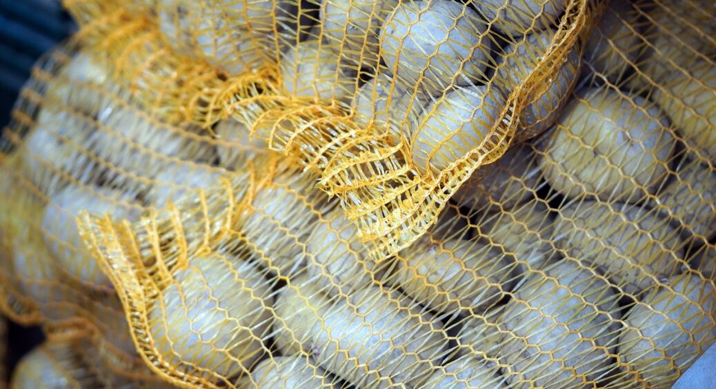 Коли кущики картоплі підростають до 10 см, обов’язково роблю цей простий прийом: збираю по 15 відер з грядки 