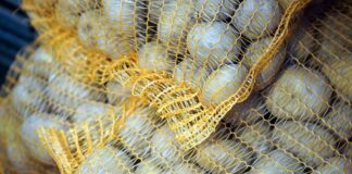 Як виростити смачну та корисну картоплю: поради від експертів 