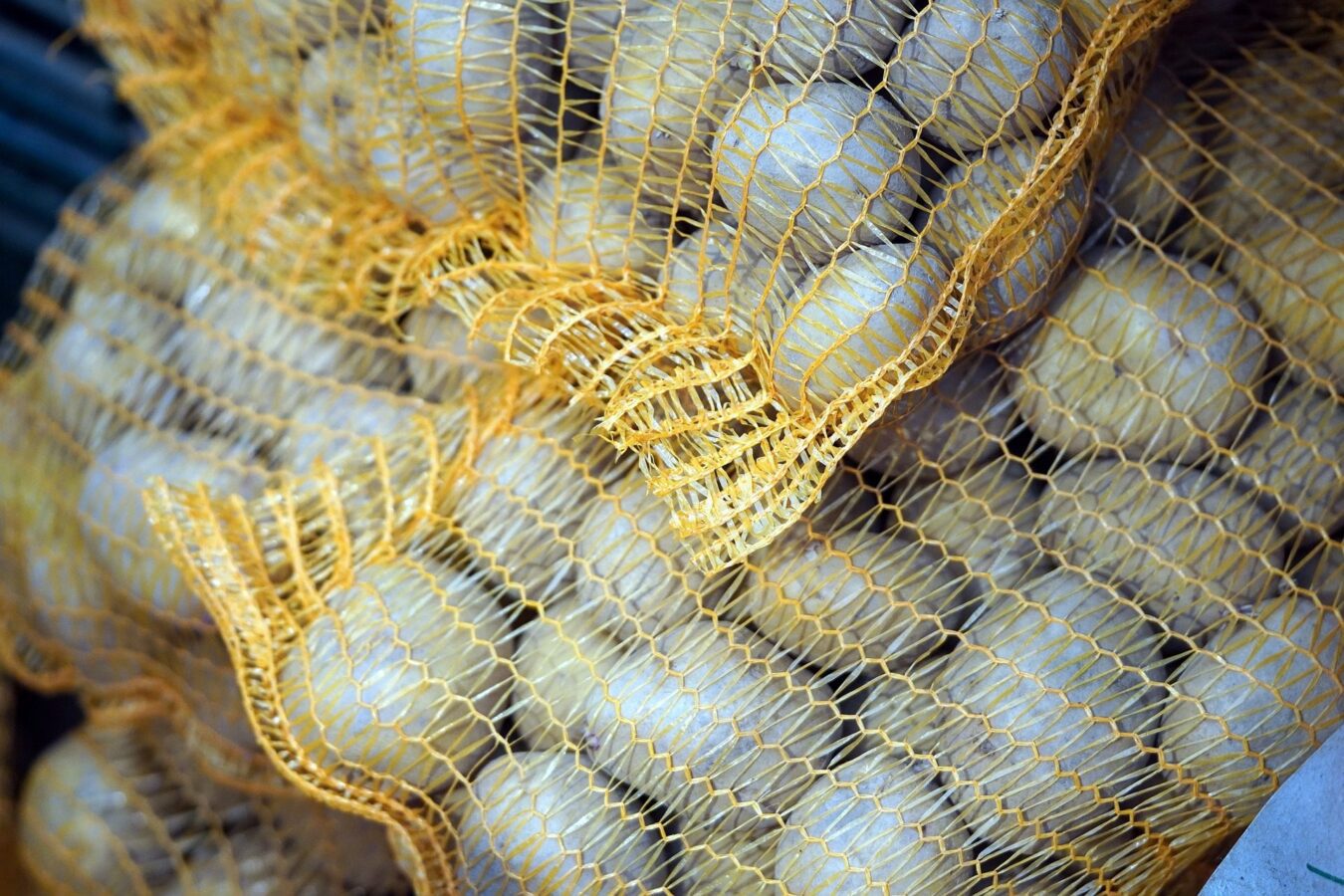 Як виростити смачну та корисну картоплю: поради від експертів 