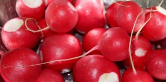 Дачники розповіли, як отримати не один врожай редиски за сезон 