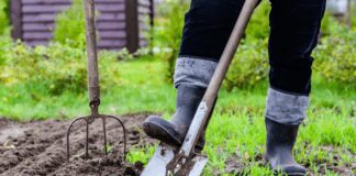 5 речей, які не обов'язково треба робити на городі