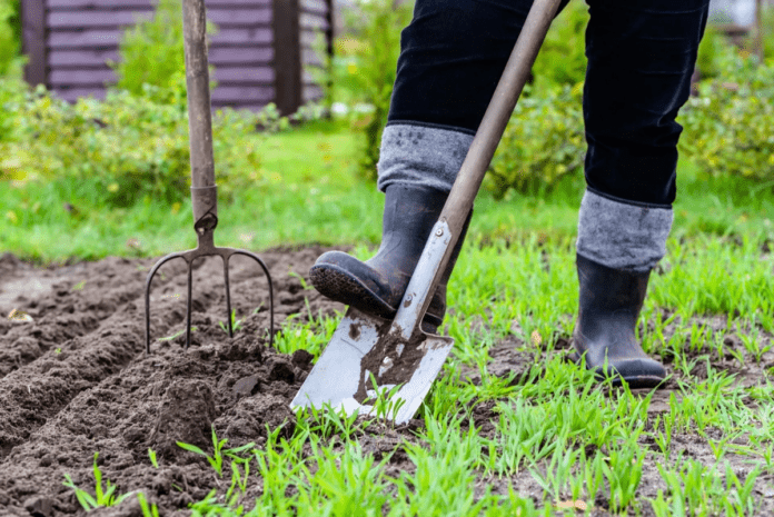 5 речей, які не обов'язково треба робити на городі