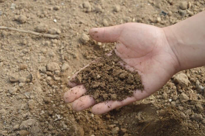Чи можна розкислити ґрунт содою