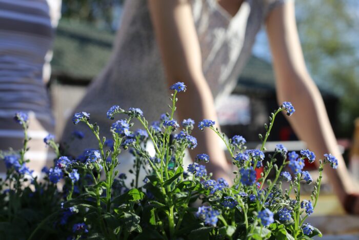 Експерти розповіли про основні весняні справи на городі, які вже час починати робити – поради