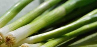 Експерти розповіли, як правильно зібрати і зберігати капусту та цибулю-порей