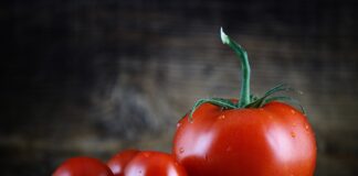 Експерти назвали найкращі дати для висадки томатів у квітні