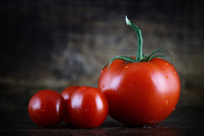 Експерти назвали найкращі дати для висадки томатів у квітні