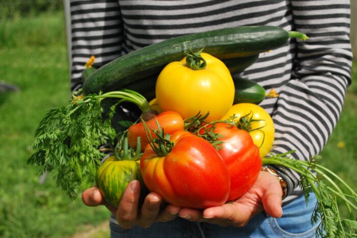 Експерти розповіли, які овочі можна садити на грядці поруч, а які тримати далі одне від одного