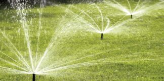 Як зробити бюджетну систему поливу власноруч