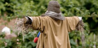 Як зробити ідеальне опудало на городі