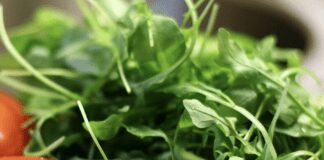 Як виростити руколу на підвіконні без зайвого клопоту