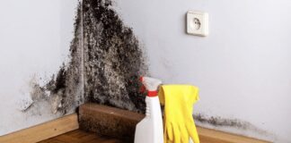 3 головні причини появи та розвитку цвілі вдома