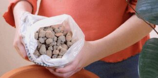 Господині розповіли, як зробити багатофункціональний дренаж для квітів