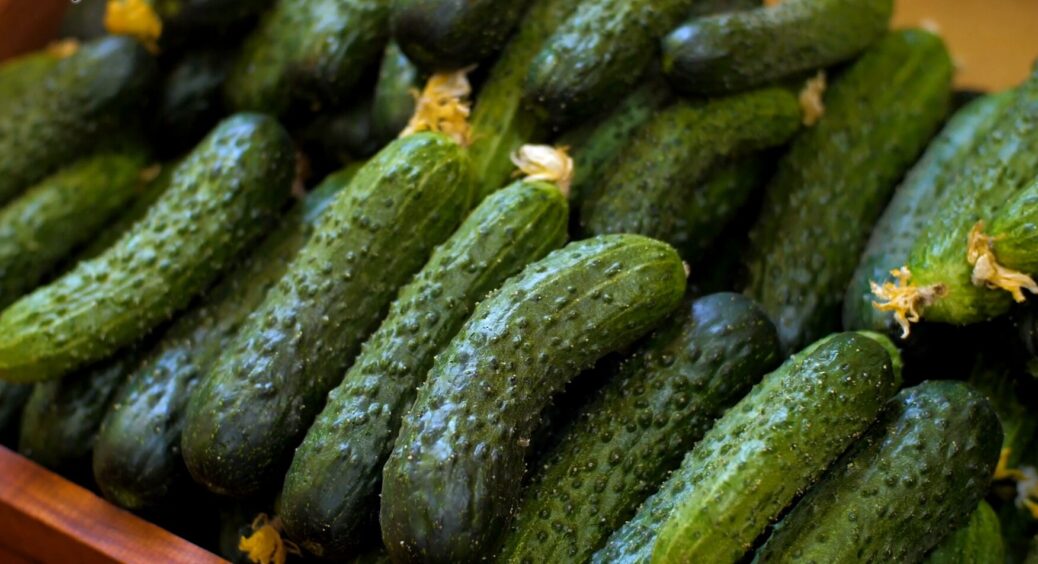 1 літр цього еліксиру під кущ огірків підніме плодоношення до небес: жодне добриво не йде в порівняння 