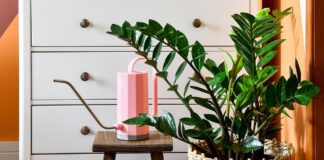 Рецепт добрива для кімнатних рослин 