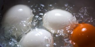 Експерти розповіли, чому овочі можна поливати водою з-під яєць