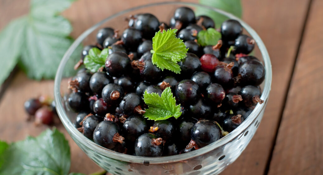 В липні насипала жменю солі під кущ смородини: тепер сусіди заздрять моєму врожаю, а ягоди, як цукерки 