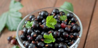 Городники розповіли, як підживлювати смородину сіллю