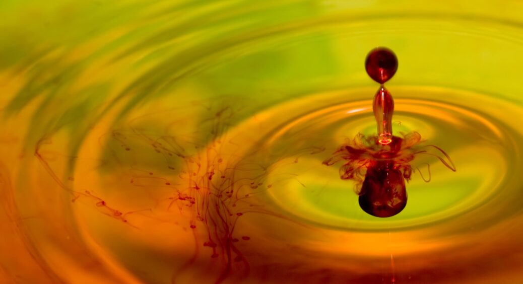 Не лише аптечний засіб, а відмінне підживлення та рятівник: йод для троянд став справжнім “мідним золотом” 