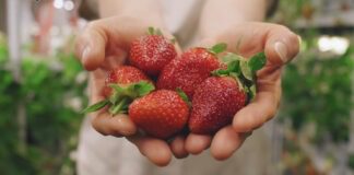 Дачники розповіли про копійчаний засіб для підживлення полуниці