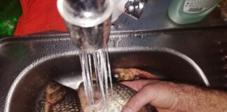 Як очистити рибу від луски