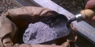 Городник назвав 5 культур, які варто підживити золою у листопаді