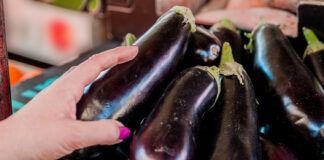 Як правильно вирощувати баклажани: корисні поради 