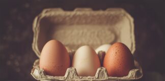 Як використовувати яєчну шкаралупу у саду та на городі