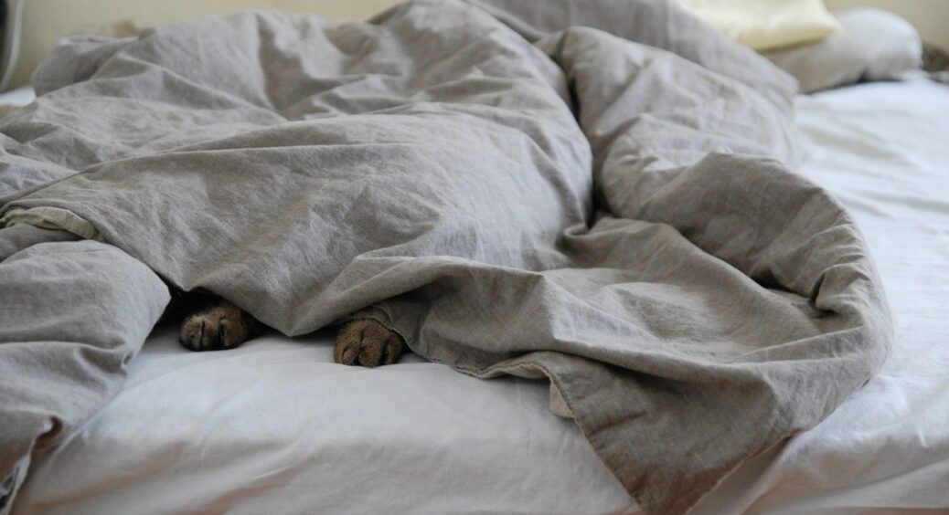 Дізналася, як покоївки застеляють постіль в готелях за 30 секунд: спробувала вдома і залишилась у захваті 