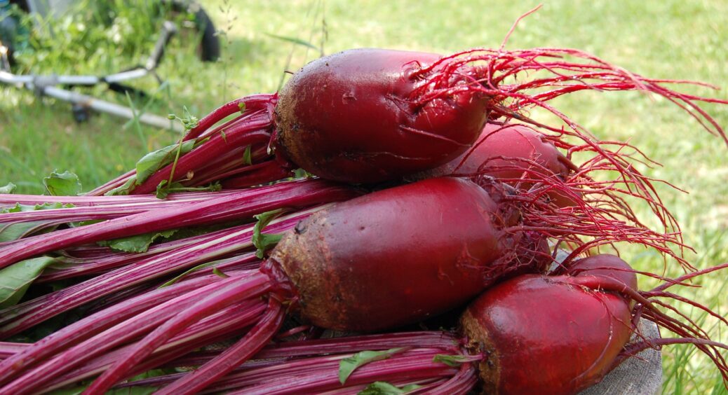 Цей дармовий дієвий “коктейль” для буряків змусить ваш врожай злетіти до небес: перевірено поколіннями 