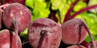 Чим підживити буряки для рясного врожаю