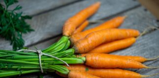 Як проріджувати моркву