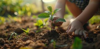 Які добрива не можна поєднувати