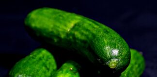 Як підгодувати огірки пшоном