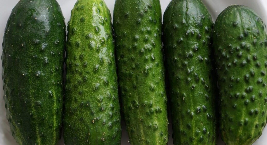 Зав’язі огірків пожовтіли та не дозрівають: довго думала, що робити, поки сусідка не підказала дієвий спосіб 