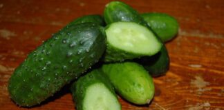 Як удобрювати огірки молоком і йодом