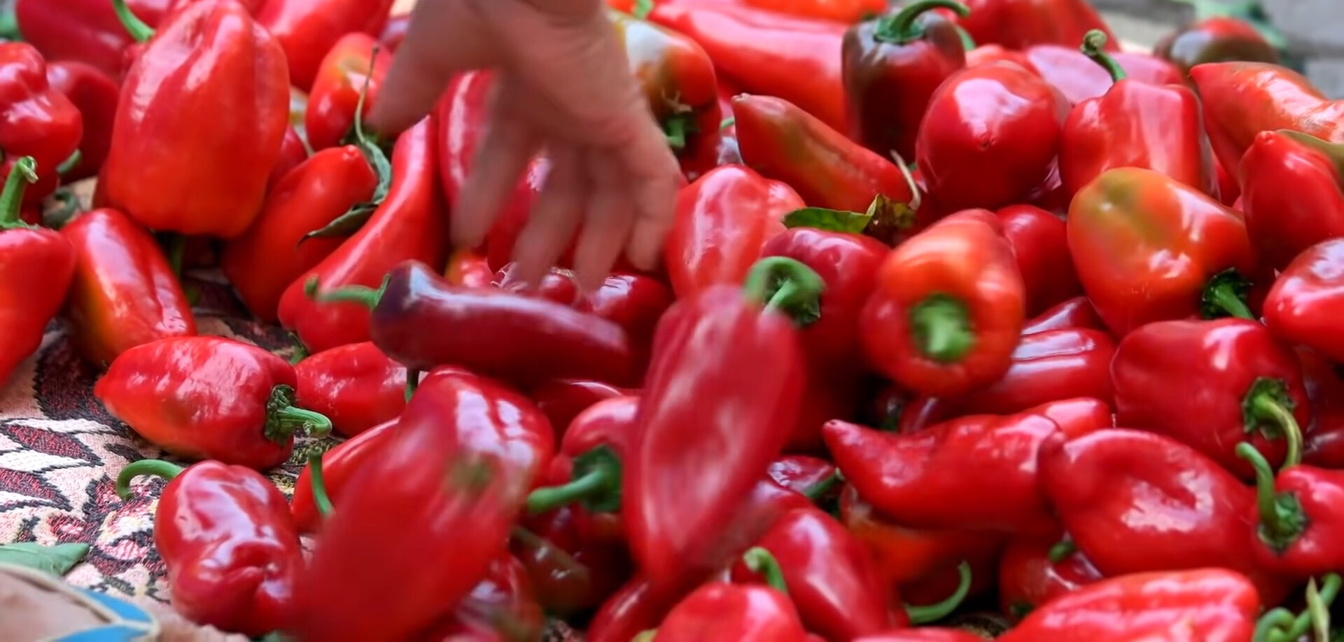 Експерти назвали головні правила вирощування болгарського перцю