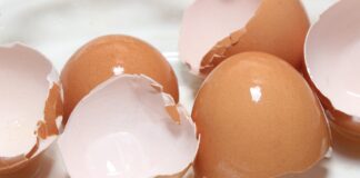 Городники пояснили, як яєчна шкарлупа допомагає вирощувати огірки 