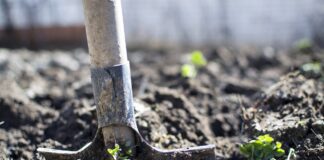 Експерти розповіли, як швидко розпушити землю під посадку