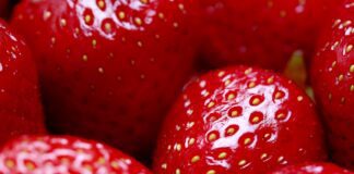 Як використовувати лимонку на городі