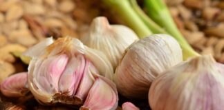 Експерти відповіли, чи потрібно зрізати часникові стрілки влітку