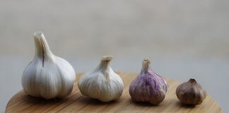 Як правильно вирощувати часник