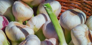 Експерти розповіли, чим підживити часник в червні