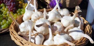 Чим обробити часник