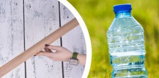 Як полегшити полив городу