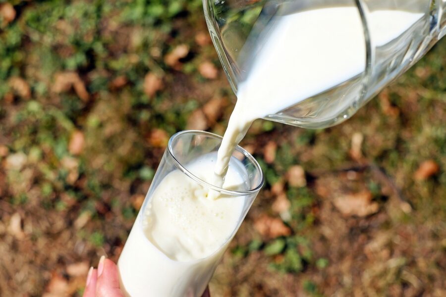 Експерти розповіли, як зберегти молоко свіжим без холодильника