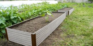 Городник пояснив, як застосувати техніку насипних грядок для картоплі